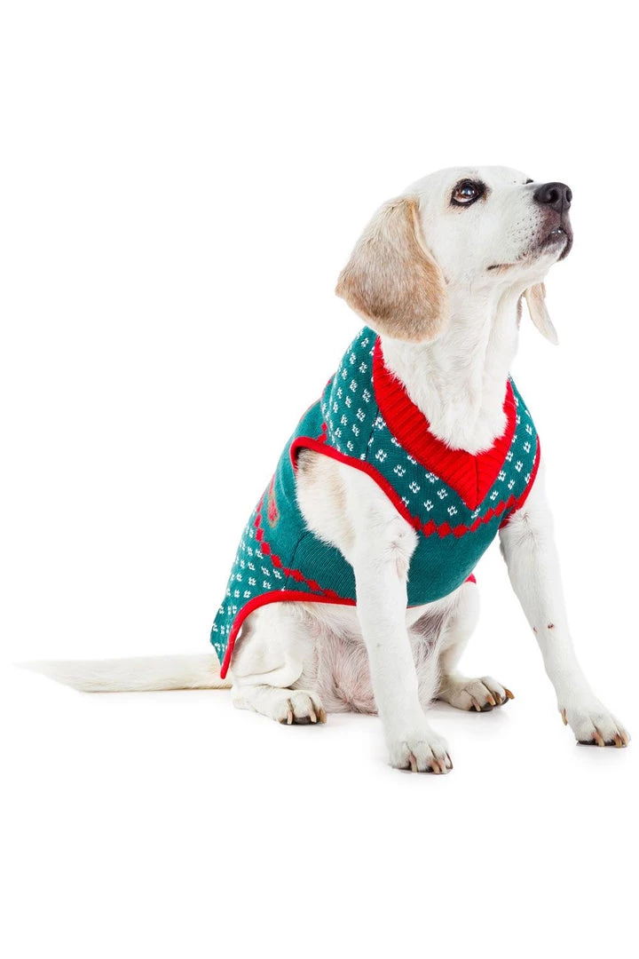 Tipsy Elves Holidays & Occasions Little Present Dog Sweater