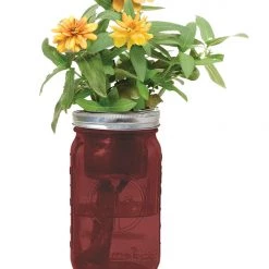 Tipsy Elves Garden Jar - Zinnia Holidays & Occasions