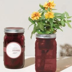 Tipsy Elves Garden Jar - Zinnia Holidays & Occasions