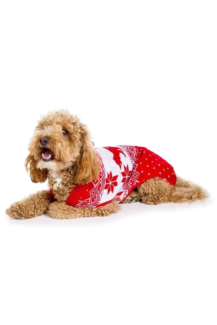 Tipsy Elves Humping K-9's Dog Sweater
